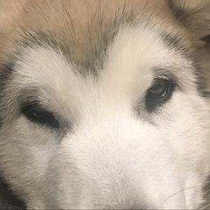 Meet your Posher, Ernest